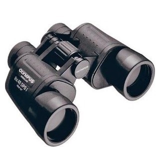 Olympus 118755 8 x 40 DPSI Binoculars