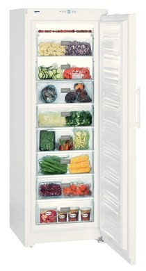 Liebherr GP 4013 Frost Protect Freezer