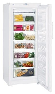 Liebherr GP 3513 Frost Protect Freezer