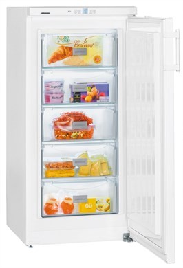 Liebherr GP 2033 Frost Protect Freezer