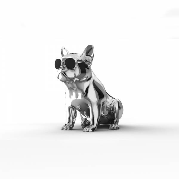 Jarre Aerobull XS1 Wireless Speaker in Chrome Silver