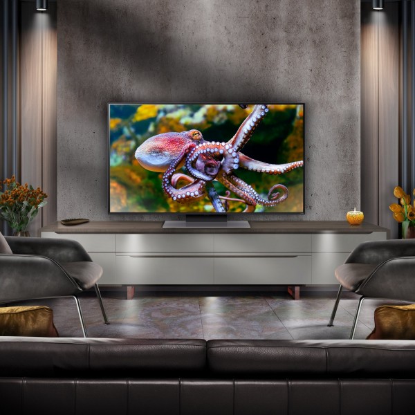 LG 55QNED87T6B.AEK 55&quot; 4K Quantum Dot NanoCell Smart TV